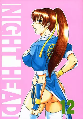 (C59) [Circle Taihei-Tengoku (Aratamaru)] NIGHT HEAD 12 (Dead or Alive)