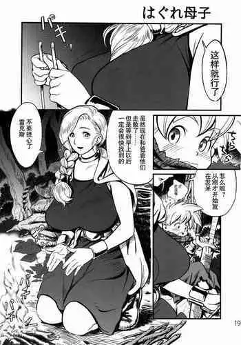 (C85) [VOLVOX (Chirima)] Hagure Boshi (Dragon Quest V) [Chinese] [臭鼬佬个人汉化001]