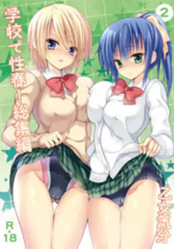 [Otomekibun (Sansyoku Amido.)] Gakkou de Seishun! Soushuuhen 2 [Digital]