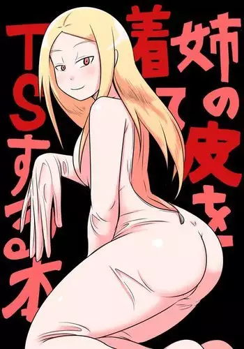 Ane no Kawa o Kite TS Suru Hon