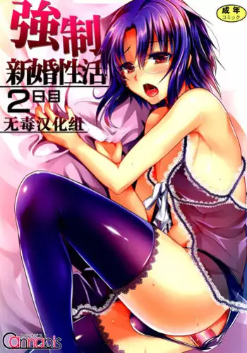 [Cannabis (Shimaji)] Kyousei Shinkon Seikatsu 2-ka-me [Chinese] [無毒漢化組] [Digital]