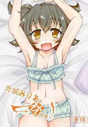 Akagi Mirai no Makura Eigyou