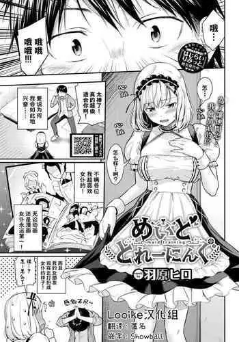 Maid Training