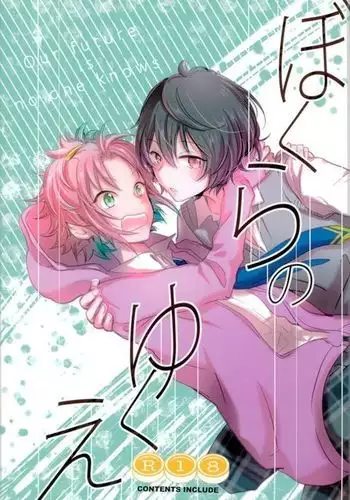 ぼくらのゆくえ