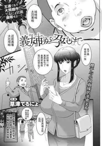 義姉が孕むまで