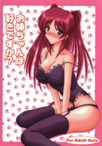 [Kirei na Oneesan (Izumi Yayoi)] Oneechan wa Suki Desuka? (ToHeart 2)