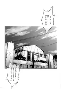 (COMIC1☆9) [Cyclone (Izumi, Reizei)] T-23 OKAKUGO (Go! Princess PreCure)