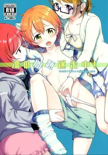 Rin no Mondai Meisou-chuu!