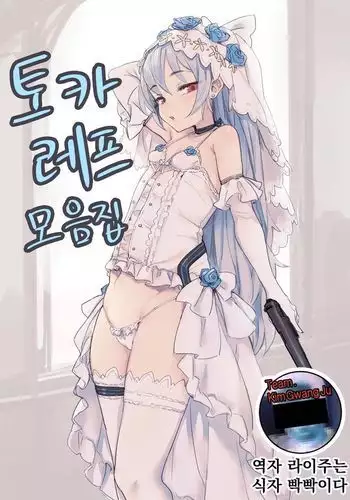 TT-33_matome+G11 omake