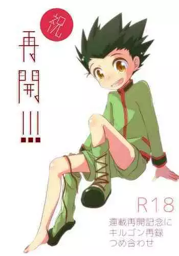 KilluaGon Sairoku Tsumeawase