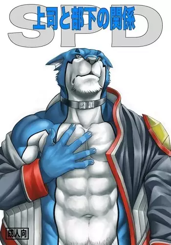 Relationship of Superiors and Subordinates