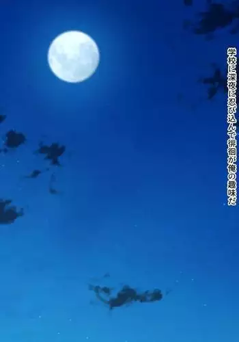 Nazo no Shōjo M