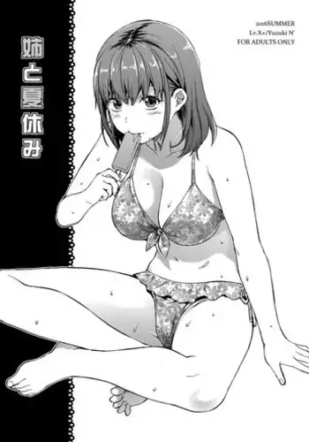 (C90) [Lv.X+ (Yuzuki N Dash)] Ane to Natsuyasumi [English] [Dammon]