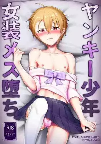 Yankee Shounen Josou Mesu Ochi