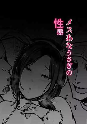 Mesu Ana Usagi no Seitai